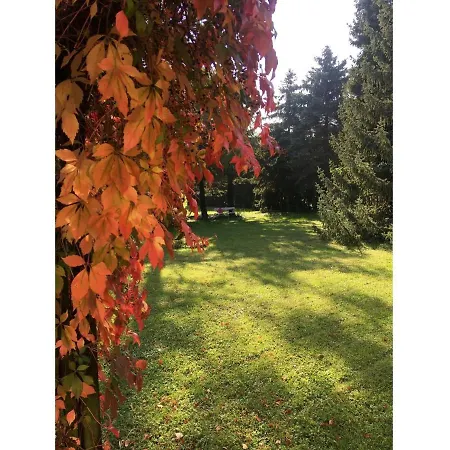 Thiel Apartamento Neumark (Weimarer)