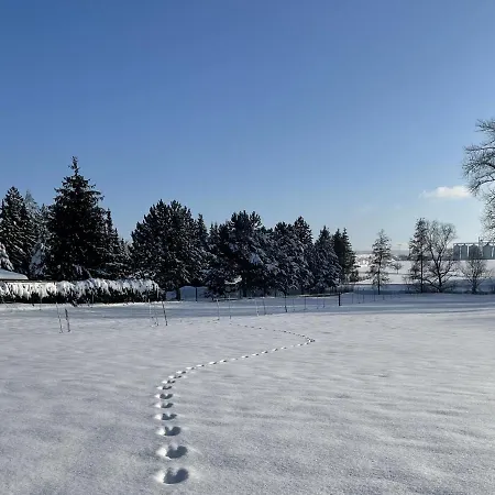 Thiel Neumark (Weimarer)