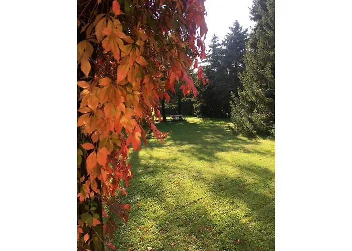 Thiel Apartman Neumark (Weimarer)