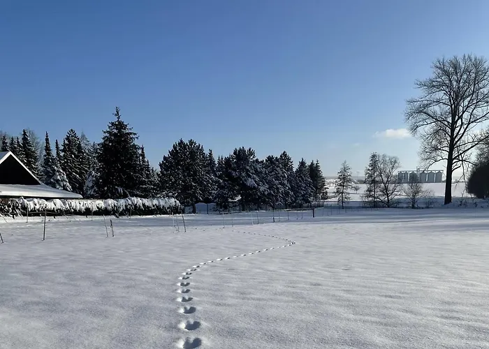 Thiel Neumark (Weimarer)